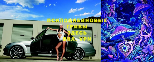 бошки Алексеевка