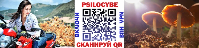 дарнет шоп  Гдов  Галлюциногенные грибы Cubensis 